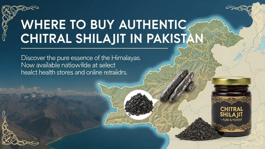 Where to Buy Chitral Shilajit in Pakistan