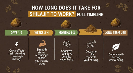 How Long Does It Take for Shilajit to Work? Full Timeline