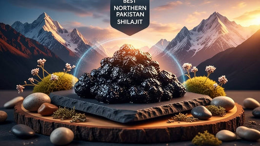 Buy Pure Northern Pakistan Shilajit Online
