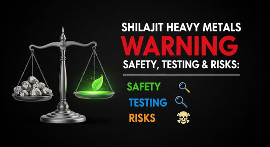 Shilajit Heavy Metals Warning: Safety, Testing & Risks