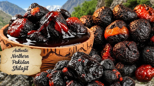 Authentic Northern Pakistan Shilajit for Sale