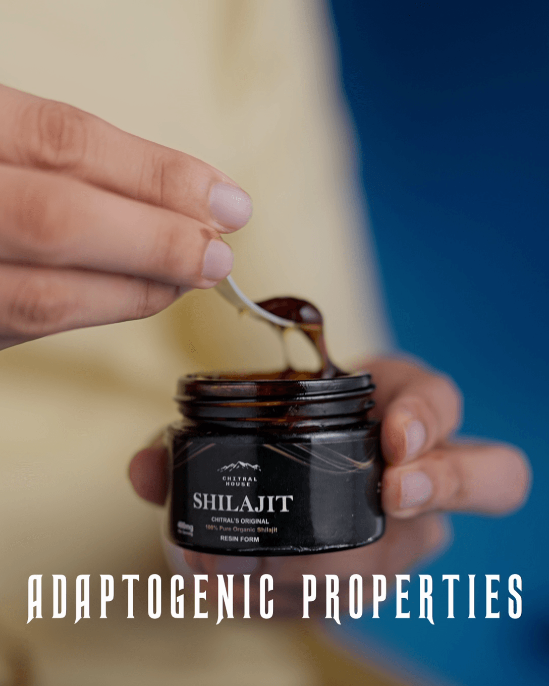 Shilajit 10g